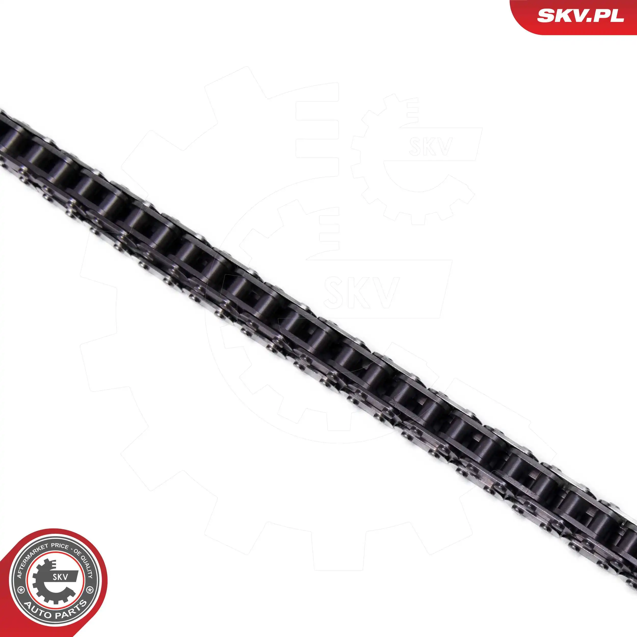 Timing Chain Kit 21SKV264