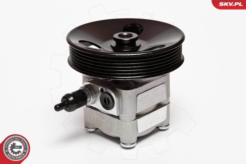 Hydraulic Pump, steering 10SKV010