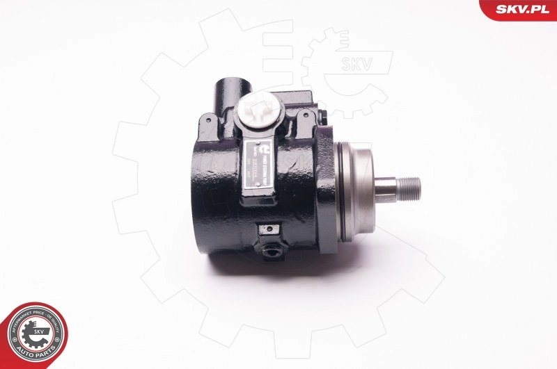 ESEN SKV 1SKV0014 Hydraulic Pump, steering