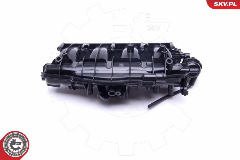 Intake Manifold Module 49SKV010