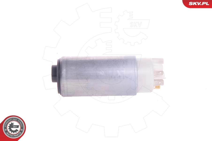 Fuel Pump 02SKV257