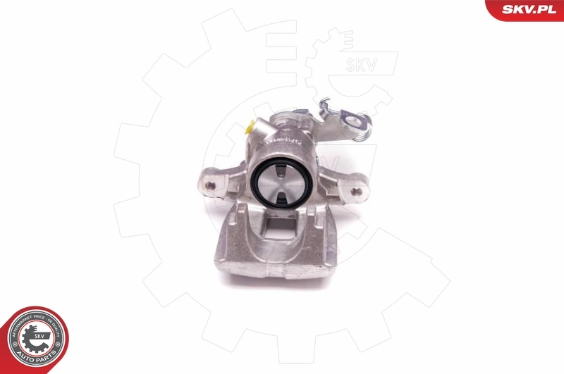 Brake Caliper 23SKV318