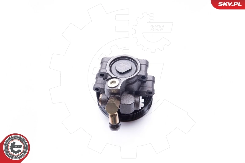 Hydraulic Pump, steering 10SKV114