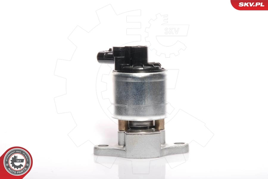 EGR Valve 14SKV041