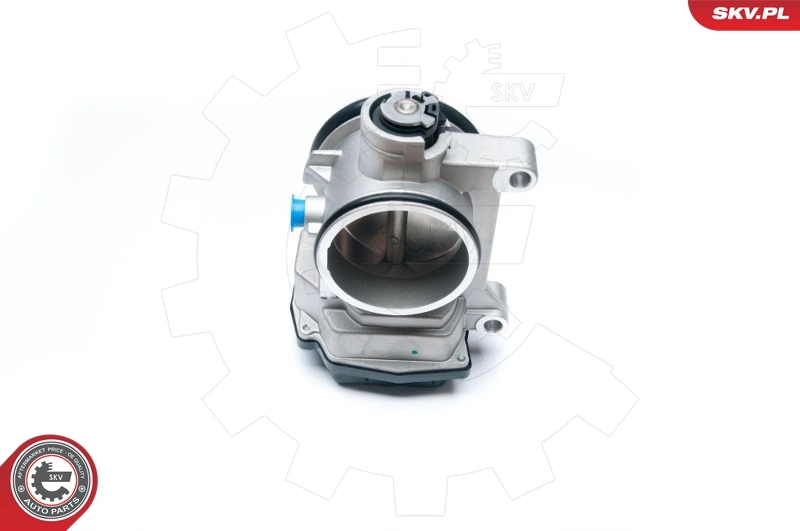 Throttle Body 12SKV051