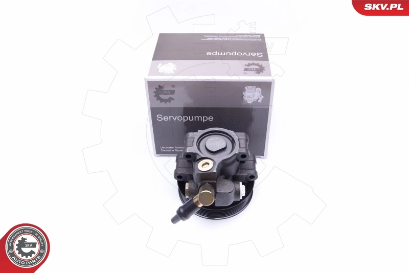 Hydraulic Pump, steering 10SKV260