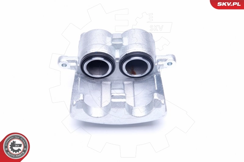 Brake Caliper 42SKV932