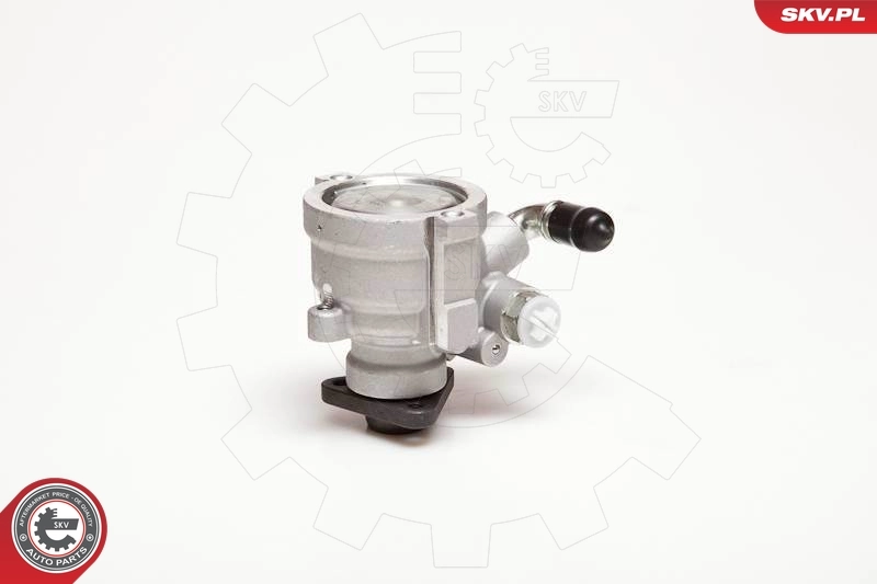 Hydraulic Pump, steering 10SKV003
