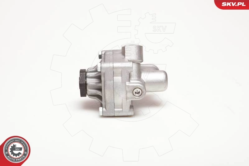 Hydraulic Pump, steering 10SKV017