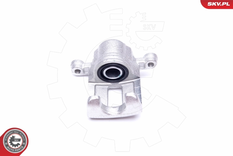 Brake Caliper 45SKV793
