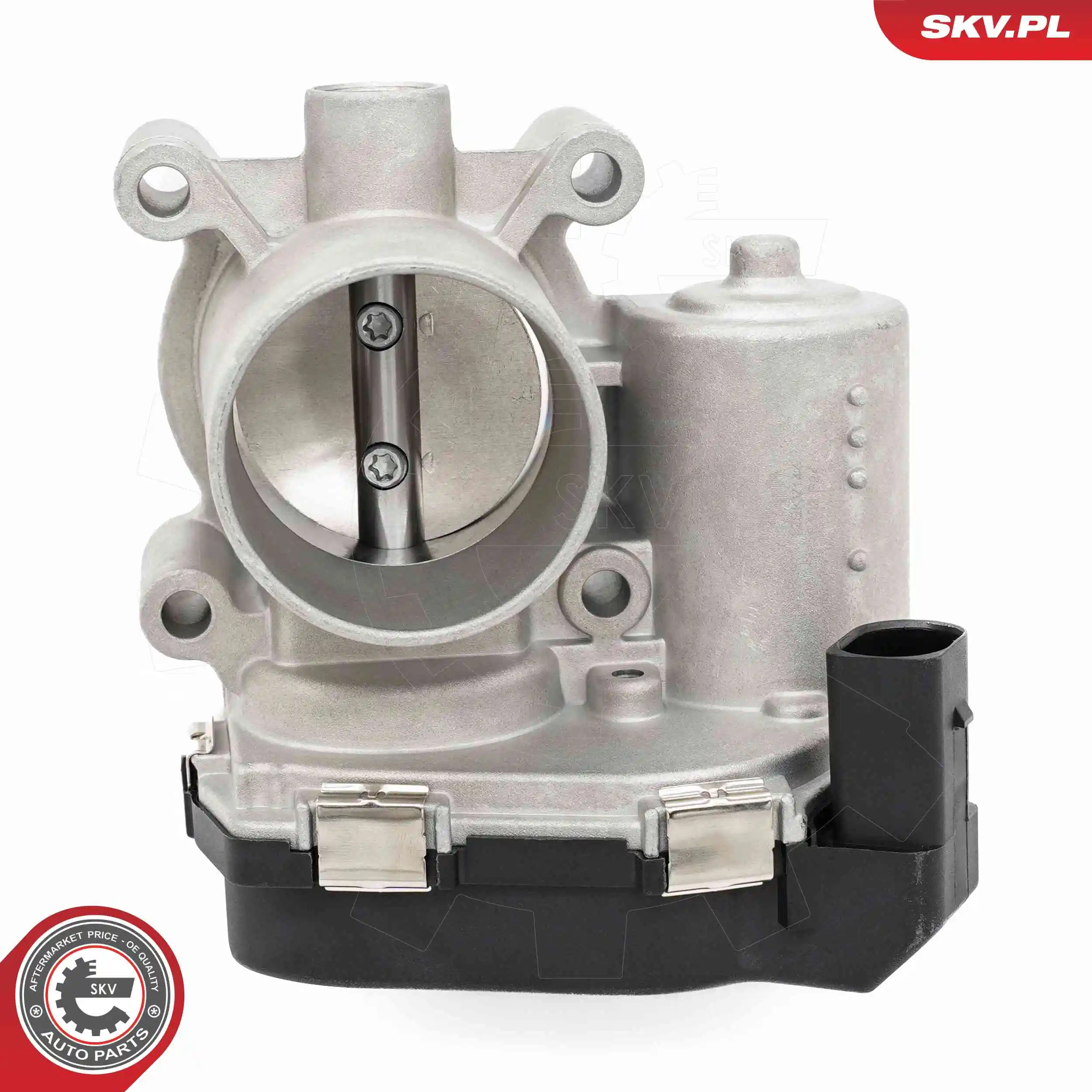 Throttle Body 12SKV144