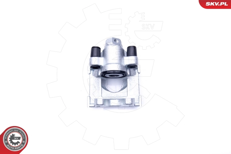 Brake Caliper 42SKV854