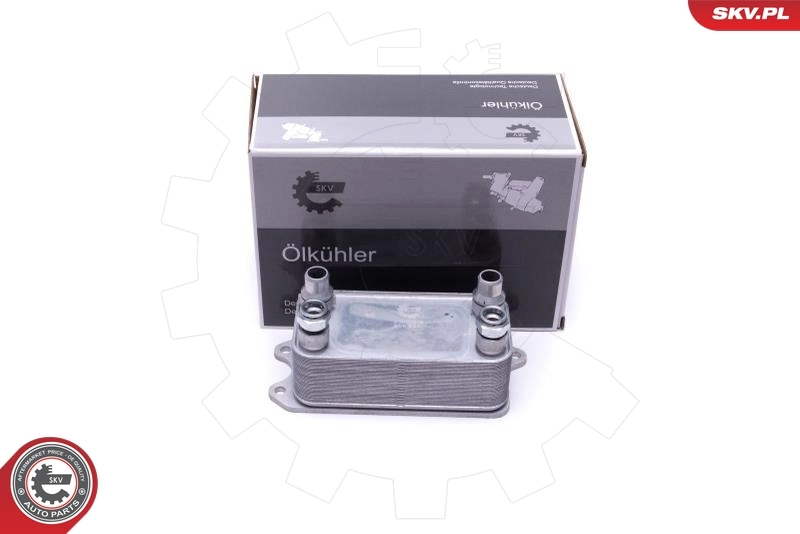 Oil Cooler, engine oil 31SKV215