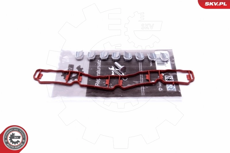Repair Kit, intake manifold module 49SKV510