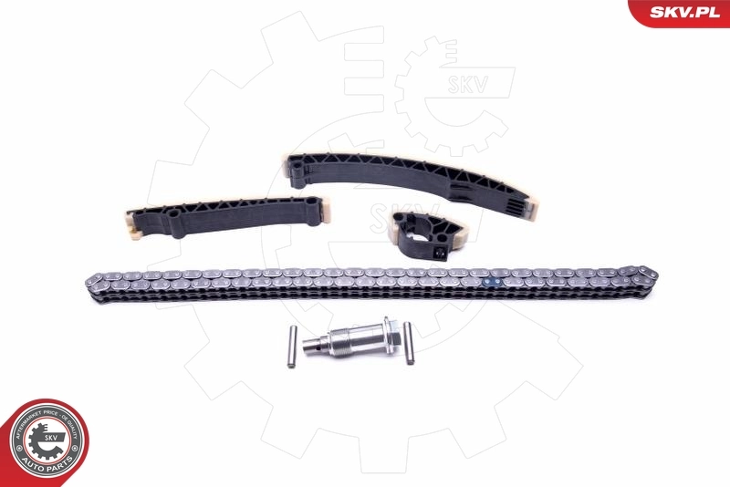 Kit de distribution par chaîne 21SKV127