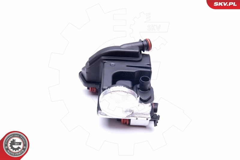 ESEN SKV 31SKV138 Oil Separator, crankcase ventilation