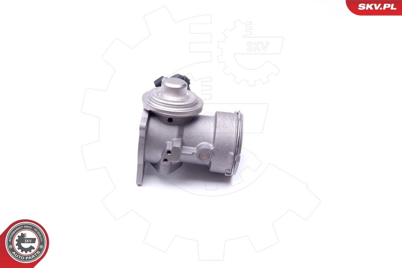 EGR Valve 14SKV093