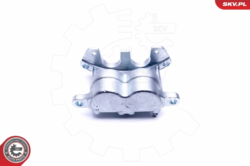 Brake Caliper 46SKV092