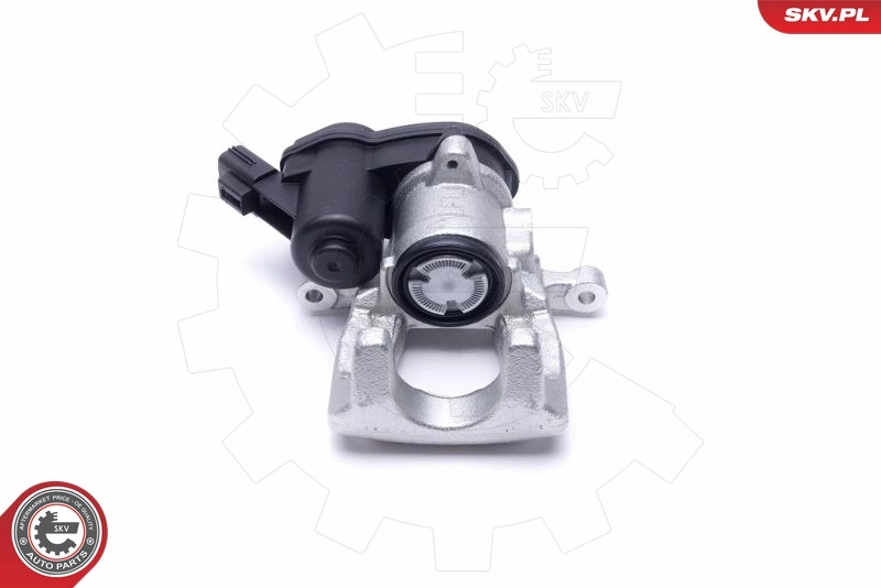 Brake Caliper 55SKV754