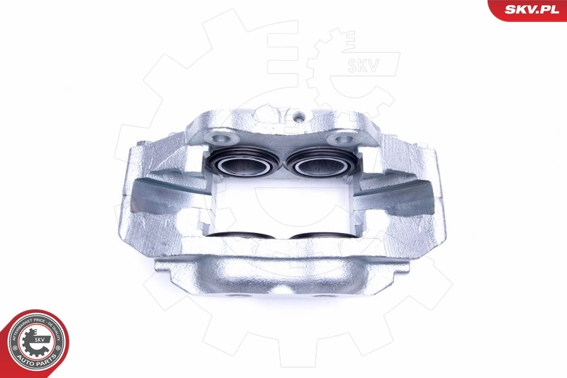 Brake Caliper 45SKV232