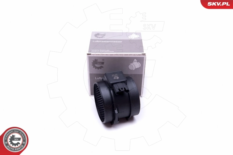 Mass Air Flow Sensor 07SKV169