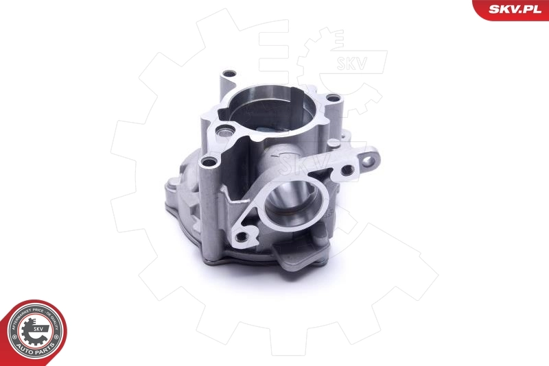 ESEN SKV 18SKV039 Vacuum Pump, braking system
