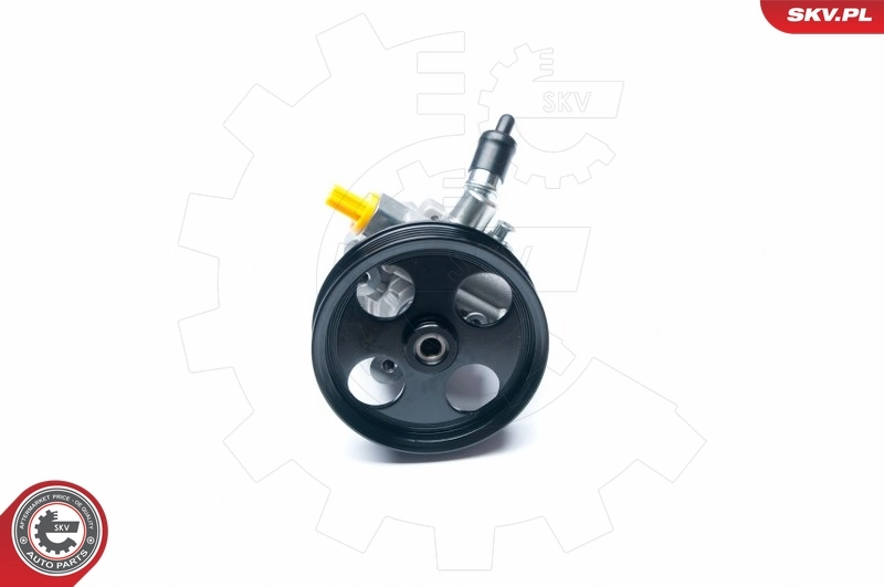 Hydraulic Pump, steering 10SKV195