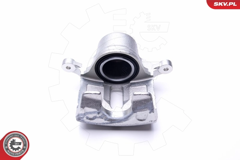 Brake Caliper 46SKV851