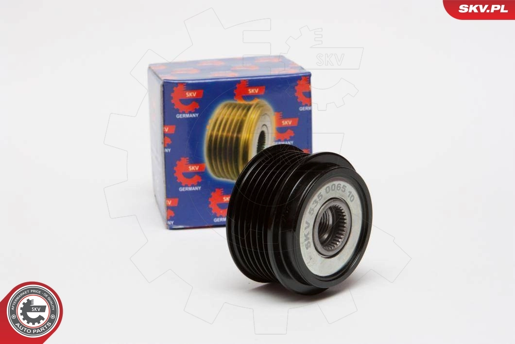 Alternator Freewheel Clutch 11SKV033