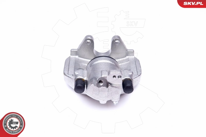 Brake Caliper 42SKV271