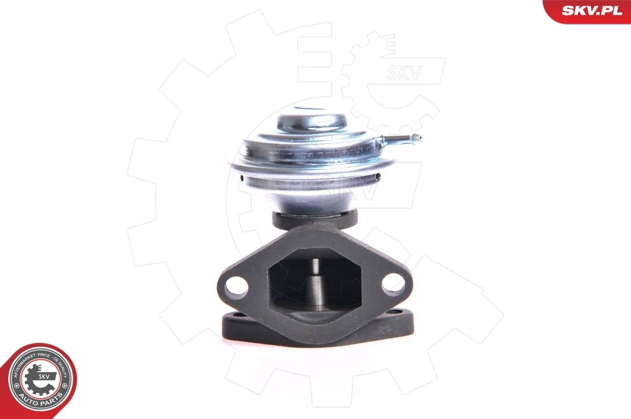 EGR Valve 14SKV001