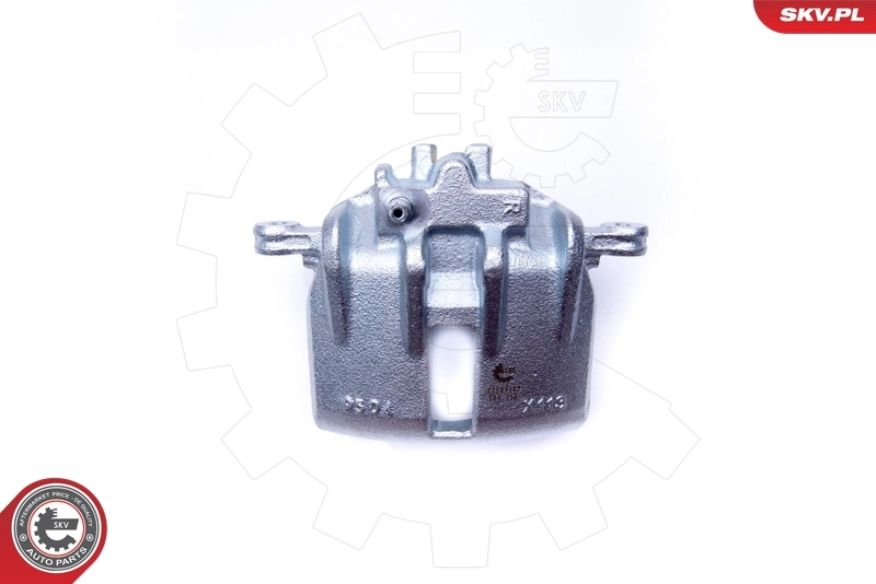 Brake Caliper 42SKV182