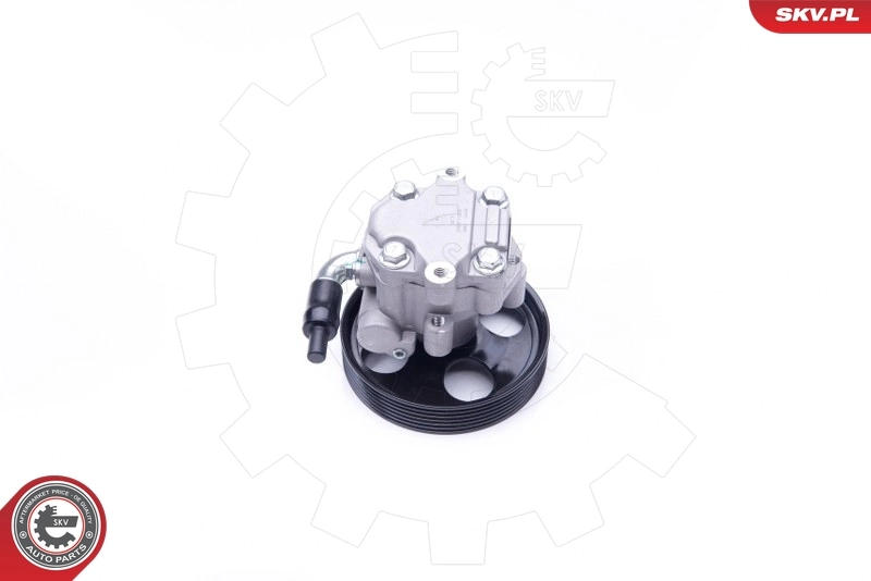 Hydraulic Pump, steering 10SKV254