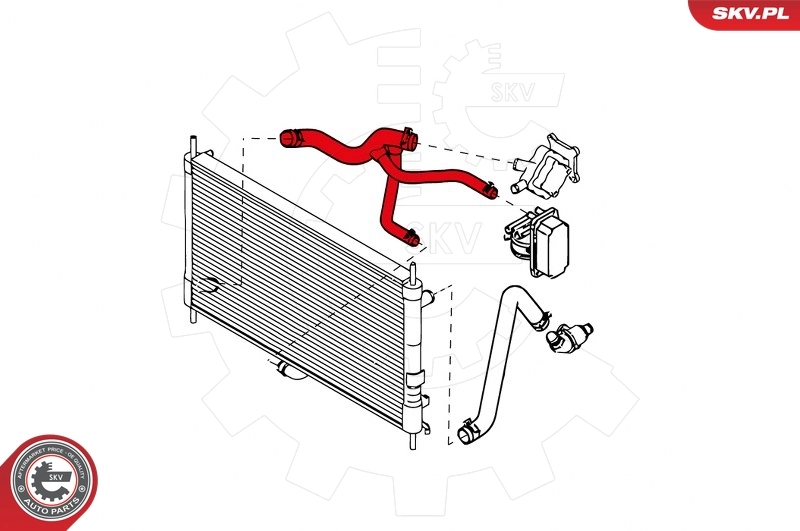 Radiator Hose 24SKV338
