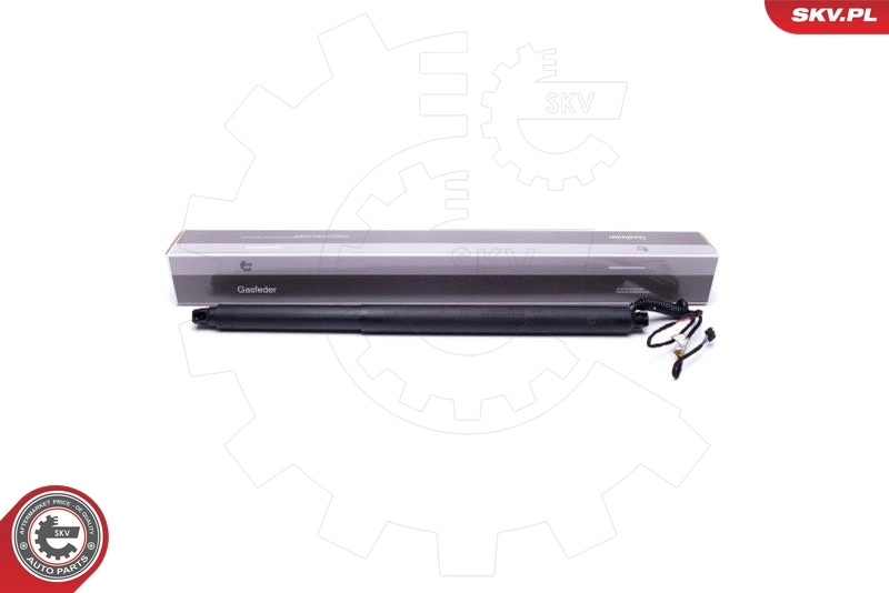 Electric Motor, tailgate 52SKV941