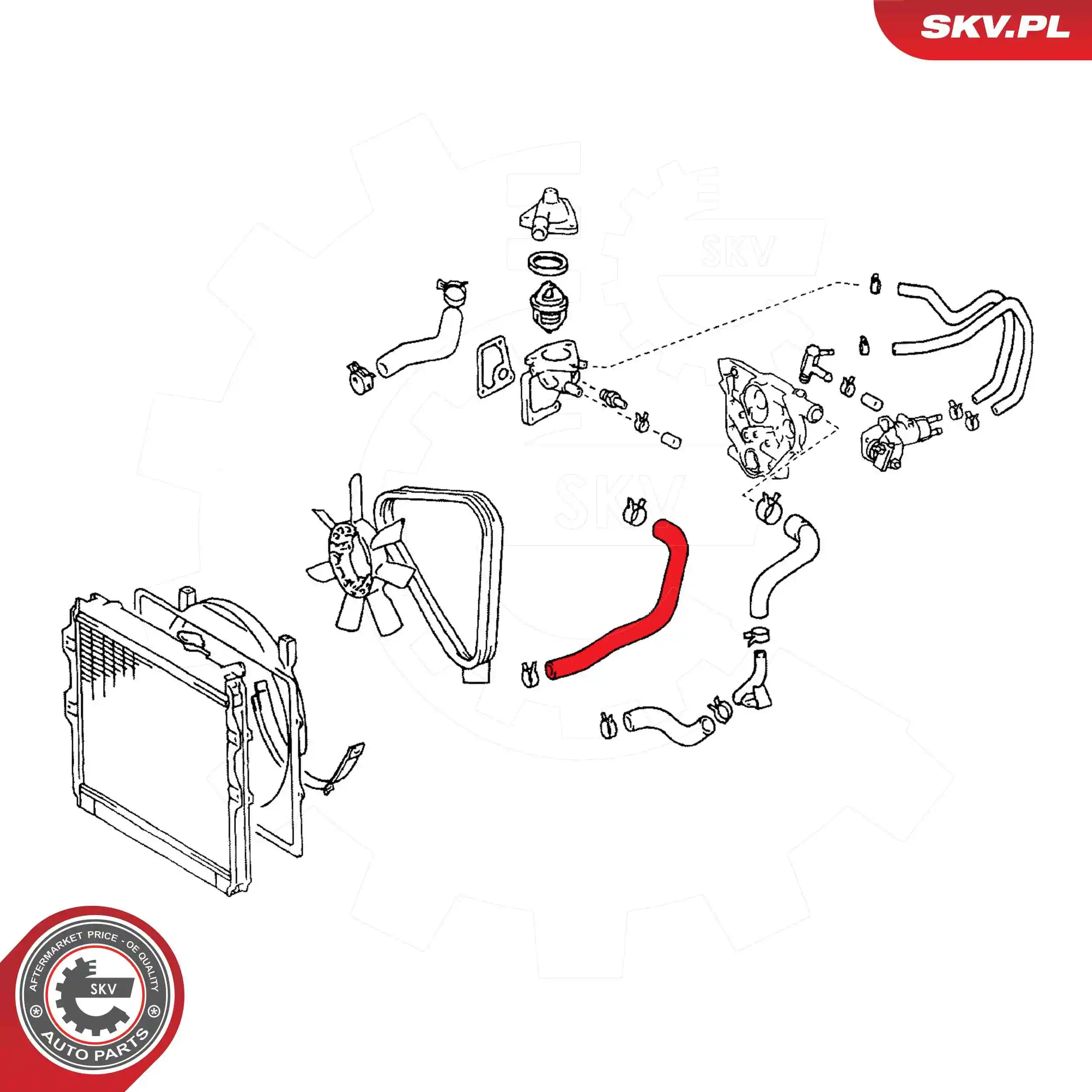 Radiator Hose 54SKV773