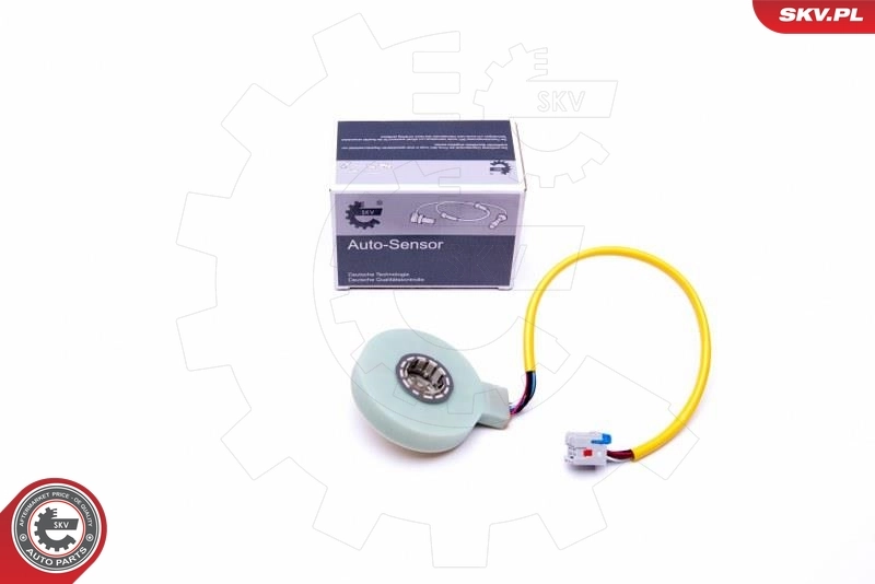 Steering Angle Sensor 17SKV482