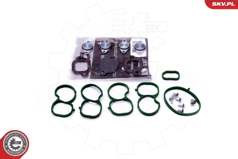 Repair Kit, intake manifold module 49SKV512