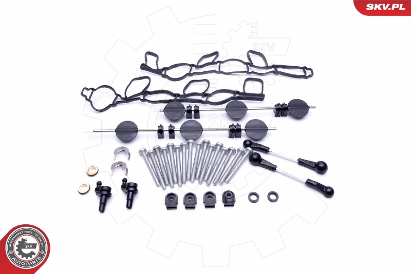 Repair Kit, intake manifold module 49SKV501