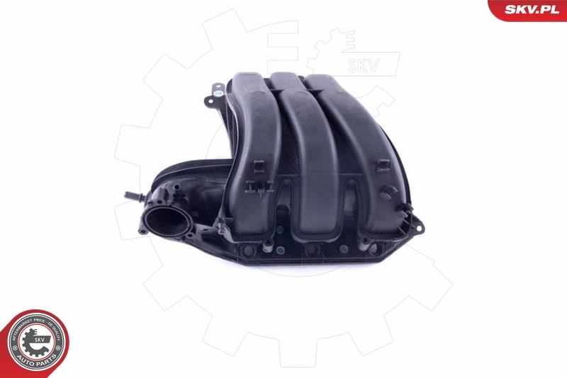 Intake Manifold Module 49SKV056