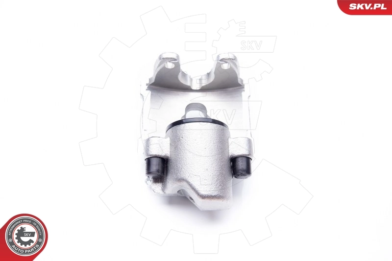 Brake Caliper 23SKV861
