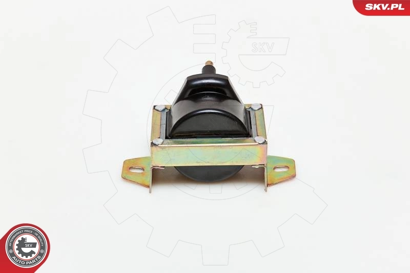 Ignition Coil 03SKV119