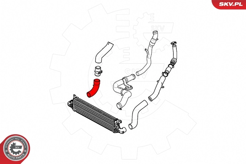Charge Air Hose 43SKV296