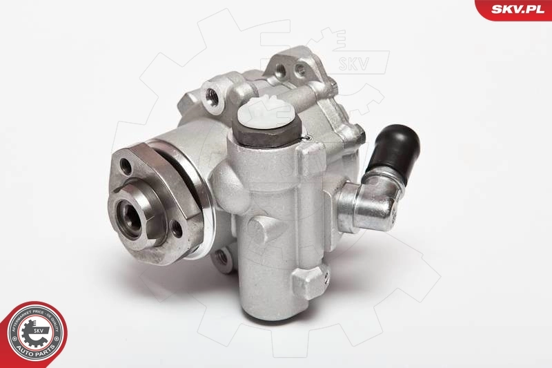 Hydraulic Pump, steering 10SKV018