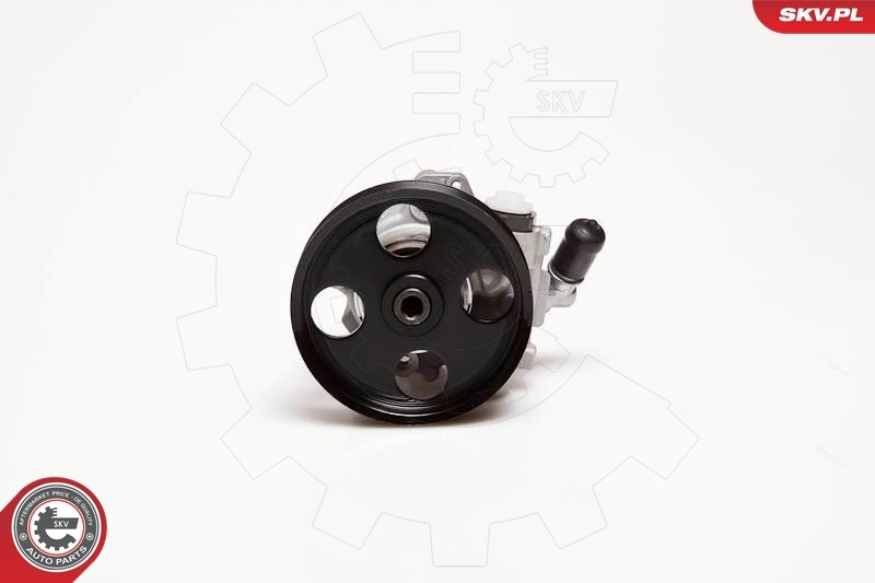 ESEN SKV 10SKV098 Hydraulic Pump, steering