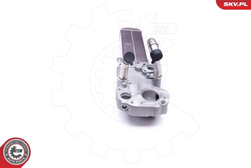 EGR Valve 14SKV137