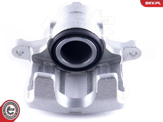 Brake Caliper 55SKV141