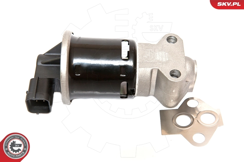 EGR Valve 14SKV053