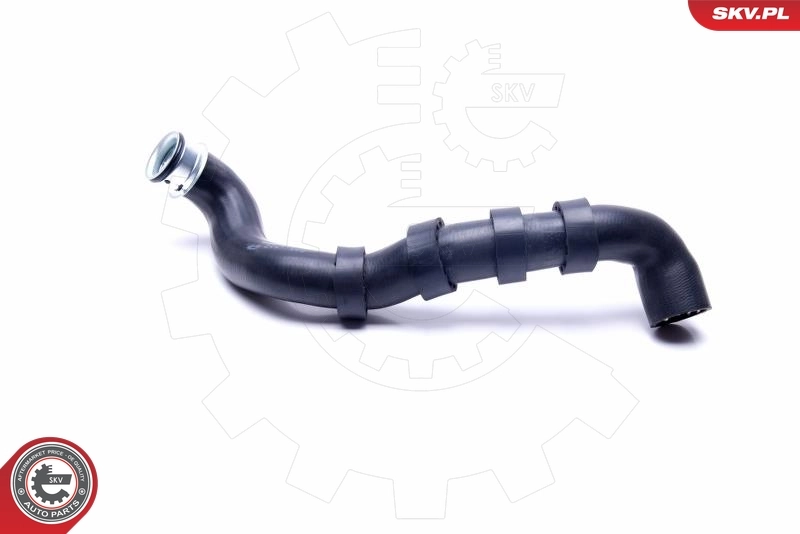 Radiator Hose 43SKV895
