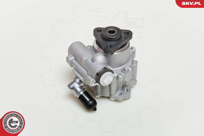 油圧ポンプ、ステアリング 10SKV049